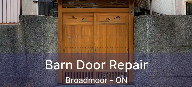  Barn Door Repair Broadmoor - ON