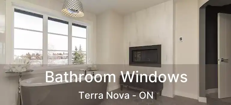  Bathroom Windows Terra Nova - ON