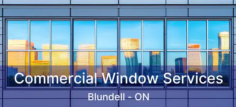  Commercial Window Services Blundell - ON