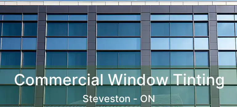  Commercial Window Tinting Steveston - ON