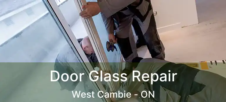  Door Glass Repair West Cambie - ON