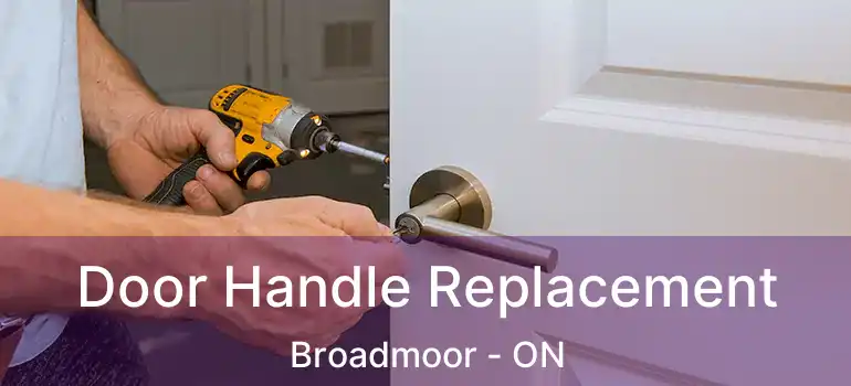  Door Handle Replacement Broadmoor - ON
