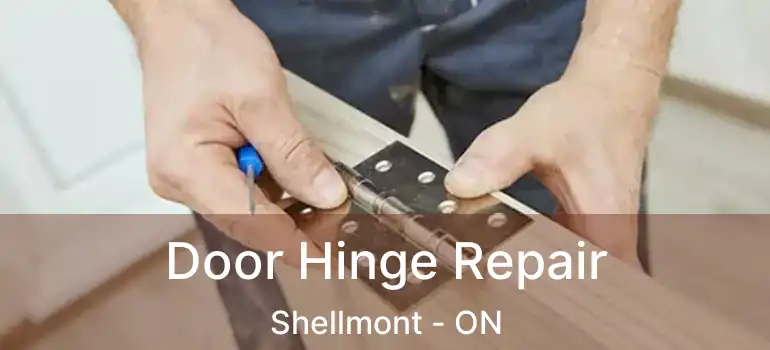  Door Hinge Repair Shellmont - ON