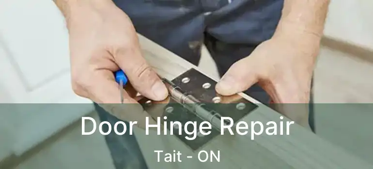  Door Hinge Repair Tait - ON