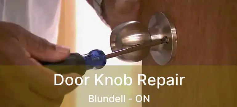  Door Knob Repair Blundell - ON