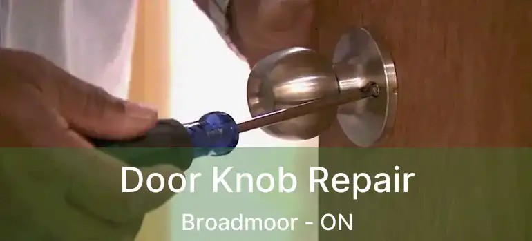  Door Knob Repair Broadmoor - ON