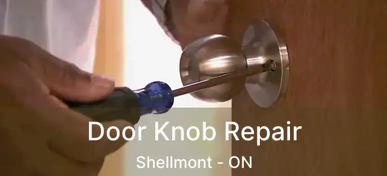  Door Knob Repair Shellmont - ON