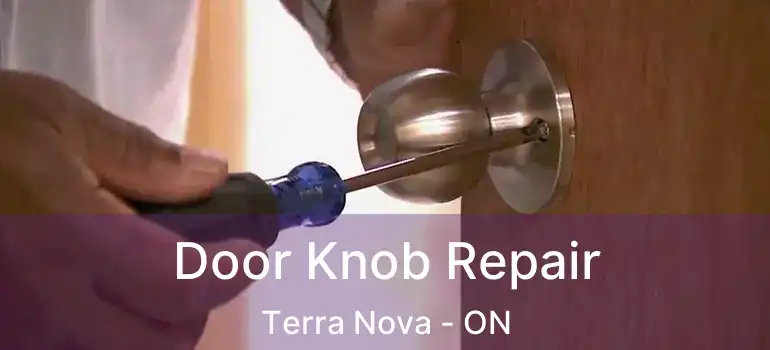  Door Knob Repair Terra Nova - ON
