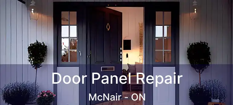  Door Panel Repair McNair - ON