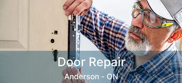  Door Repair Anderson - ON