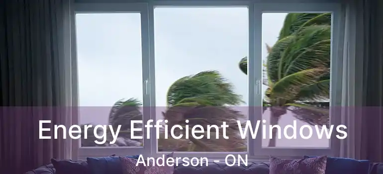  Energy Efficient Windows Anderson - ON