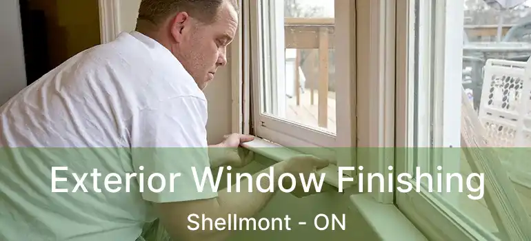  Exterior Window Finishing Shellmont - ON