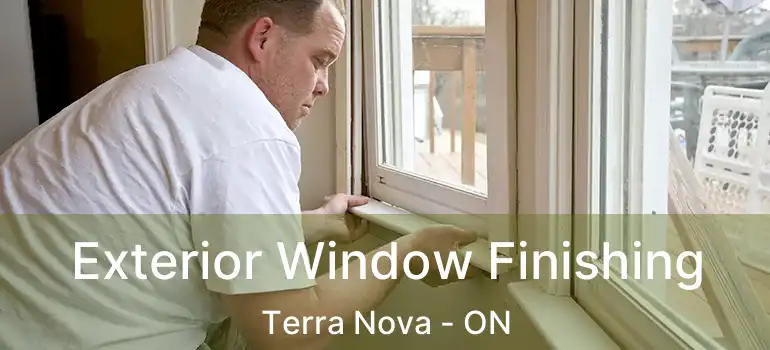  Exterior Window Finishing Terra Nova - ON