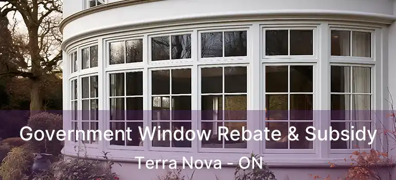  Government Window Rebate & Subsidy Terra Nova - ON