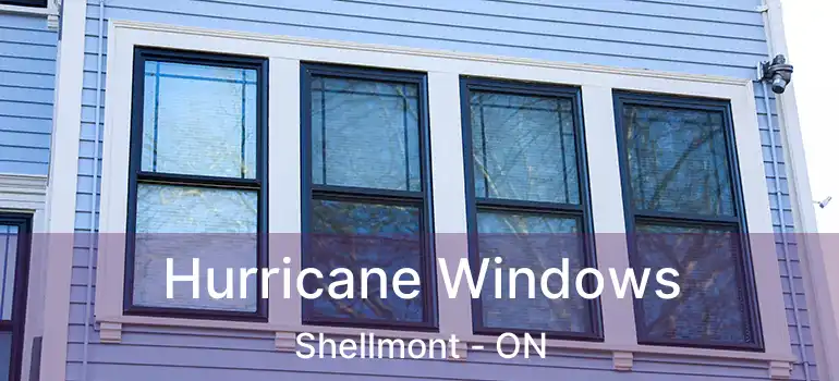  Hurricane Windows Shellmont - ON