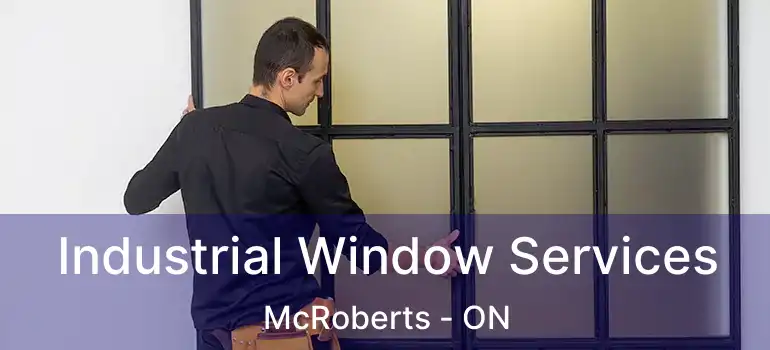  Industrial Window Services McRoberts - ON