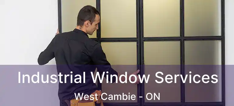  Industrial Window Services West Cambie - ON