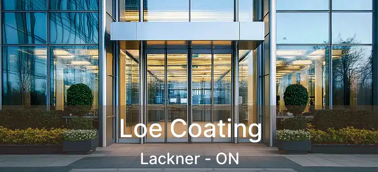  Loe Coating Lackner - ON