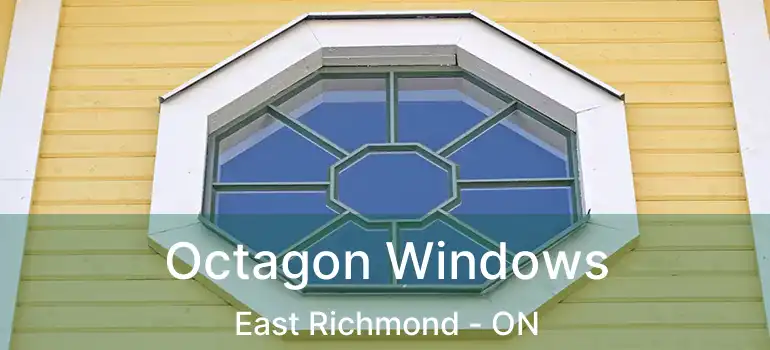  Octagon Windows East Richmond - ON