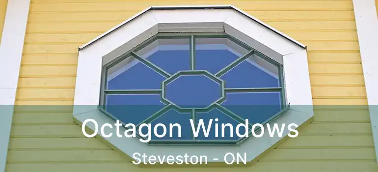  Octagon Windows Steveston - ON