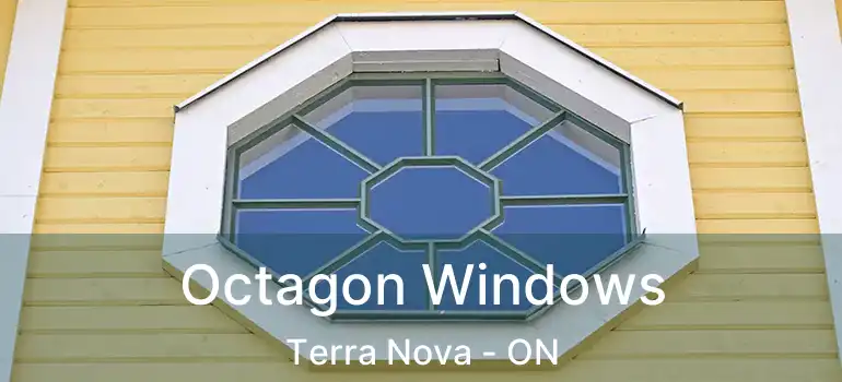  Octagon Windows Terra Nova - ON