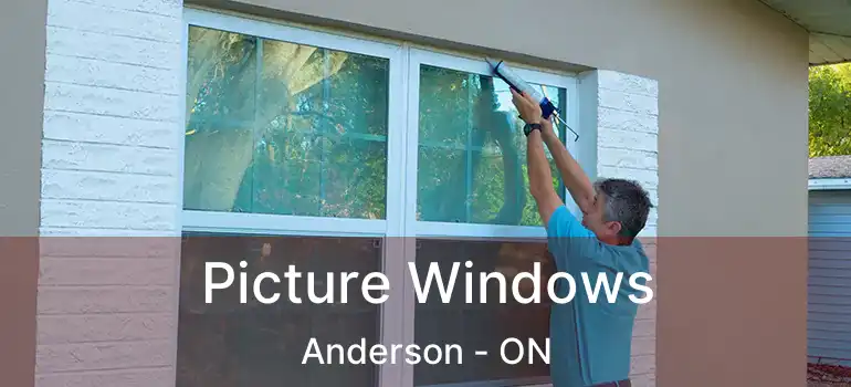  Picture Windows Anderson - ON