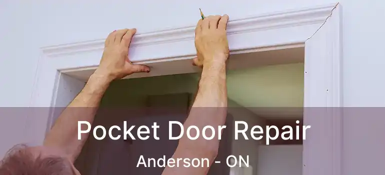  Pocket Door Repair Anderson - ON