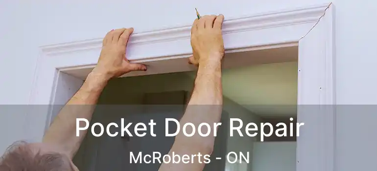  Pocket Door Repair McRoberts - ON