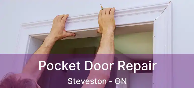 Pocket Door Repair Steveston - ON