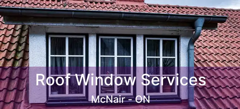  Roof Window Services McNair - ON