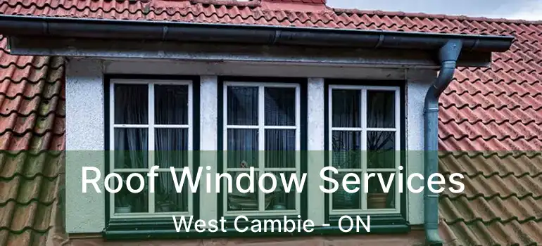  Roof Window Services West Cambie - ON