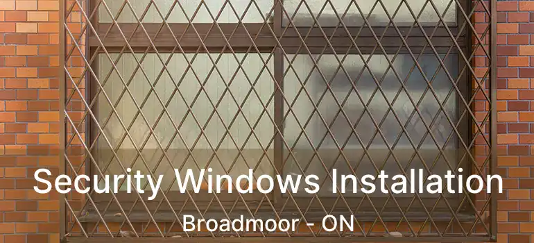  Security Windows Installation Broadmoor - ON