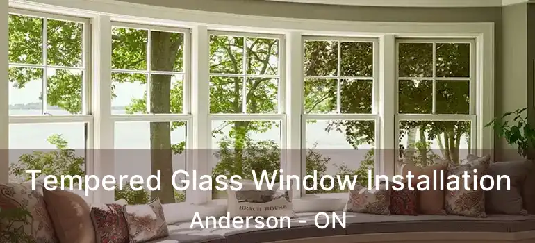  Tempered Glass Window Installation Anderson - ON