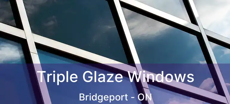  Triple Glaze Windows Bridgeport - ON