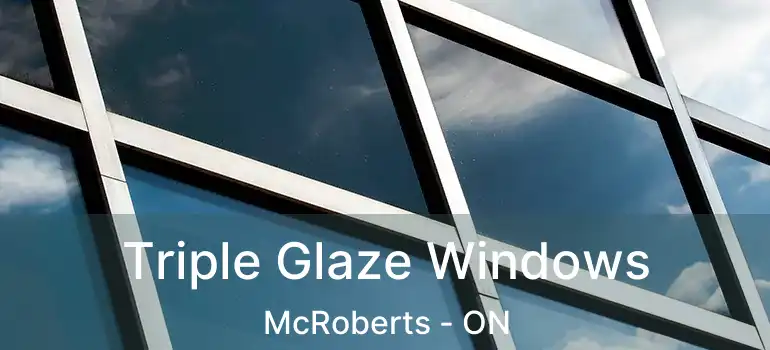  Triple Glaze Windows McRoberts - ON