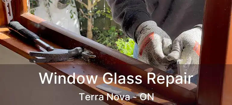  Window Glass Repair Terra Nova - ON