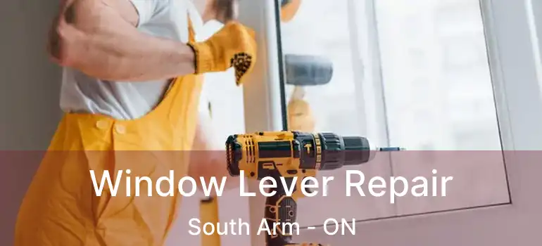  Window Lever Repair South Arm - ON