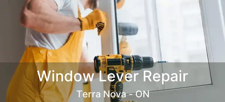  Window Lever Repair Terra Nova - ON