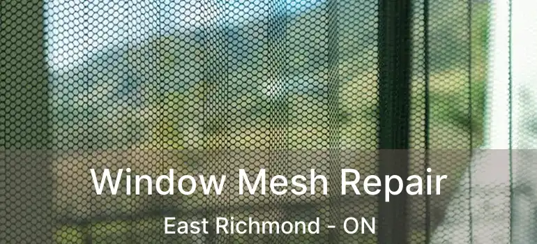  Window Mesh Repair East Richmond - ON
