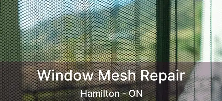  Window Mesh Repair Hamilton - ON