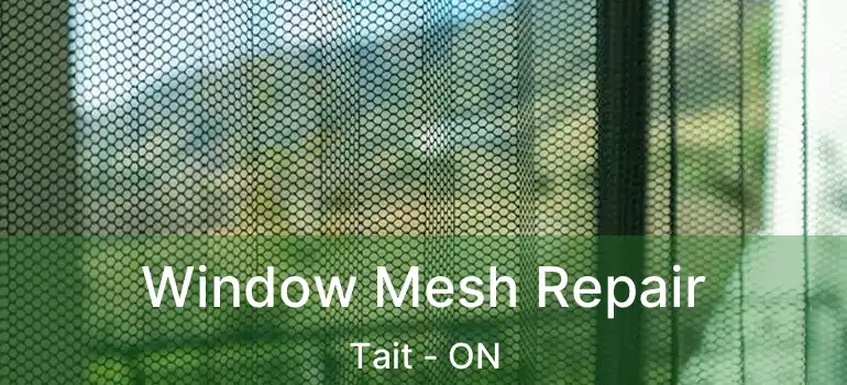  Window Mesh Repair Tait - ON