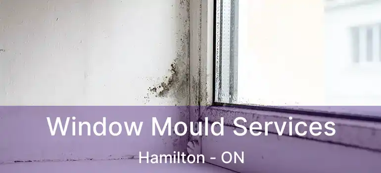  Window Mould Services Hamilton - ON