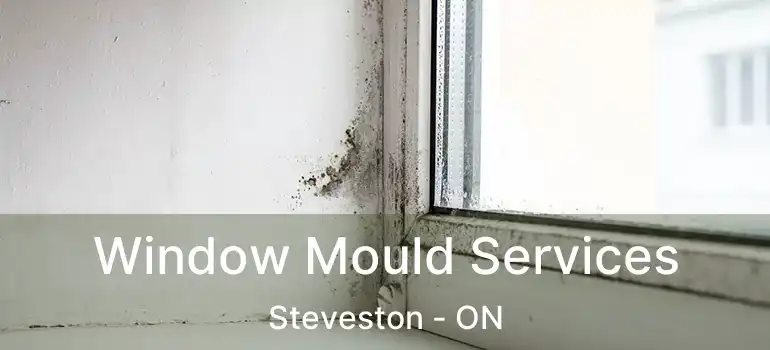  Window Mould Services Steveston - ON