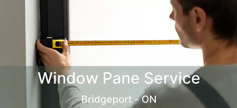  Window Pane Service Bridgeport - ON