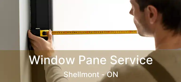  Window Pane Service Shellmont - ON