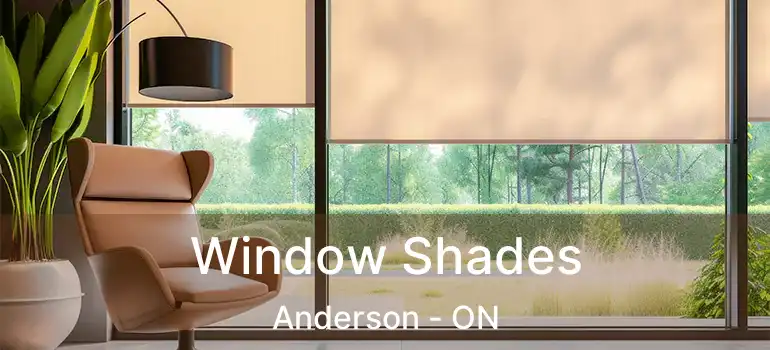  Window Shades Anderson - ON