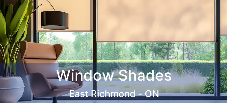  Window Shades East Richmond - ON