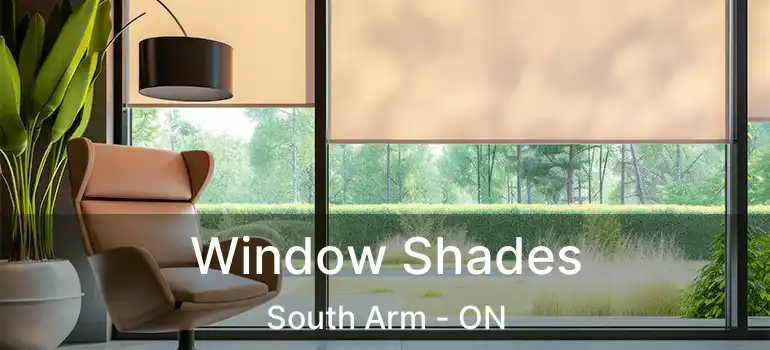  Window Shades South Arm - ON