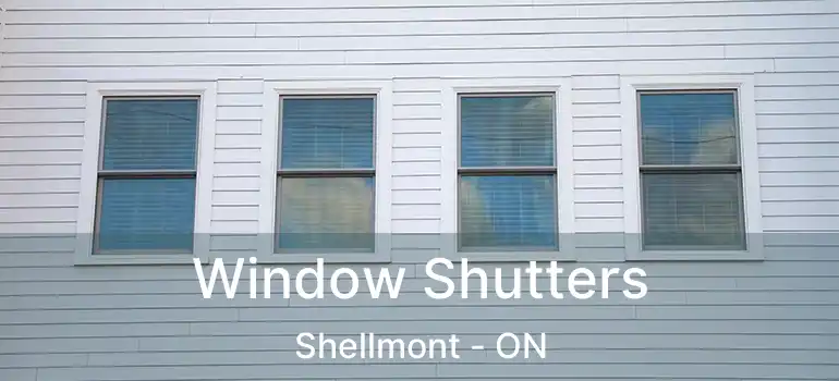  Window Shutters Shellmont - ON
