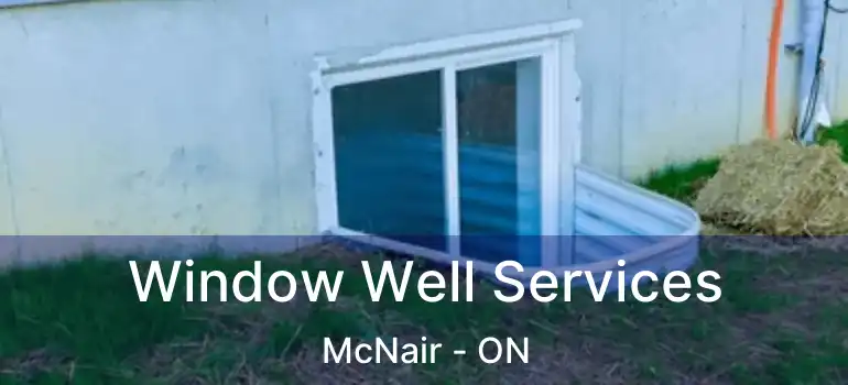  Window Well Services McNair - ON